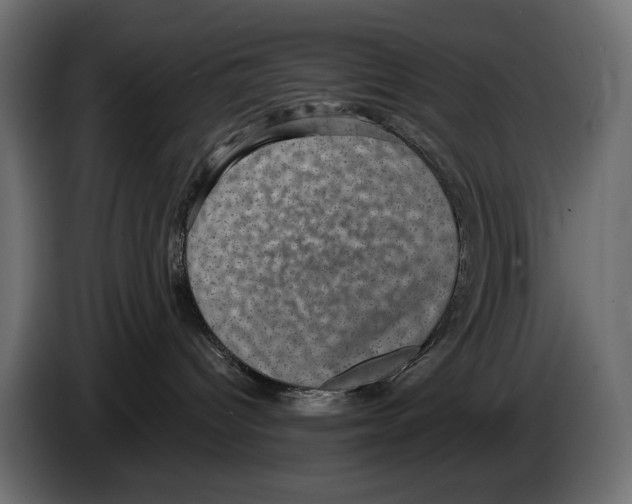 X0000084570096200703231831