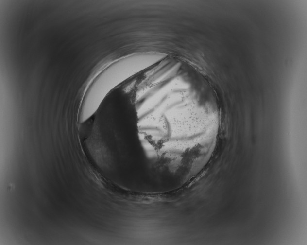 X0000084570099200703231830