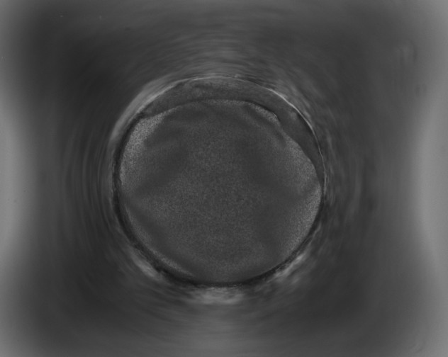 X0000084570101200703231830