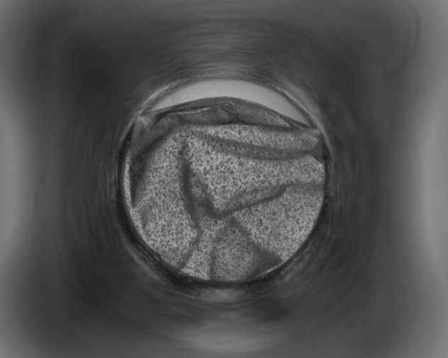 X0000084570107200703231830