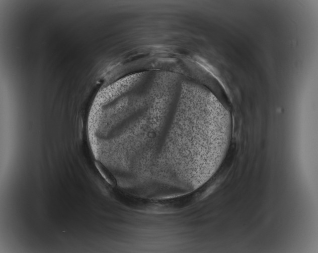 X0000084570109200703231830