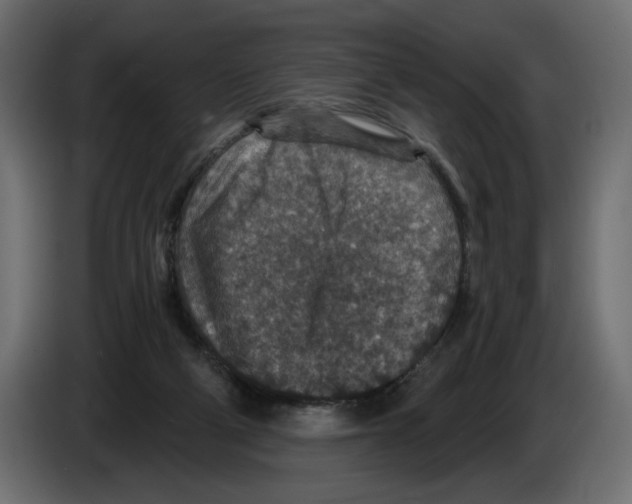 X0000084570114200703231830