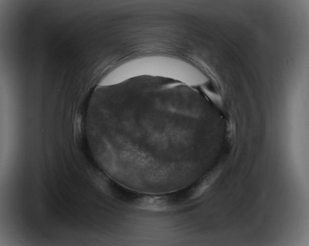 X0000084570117200703231830