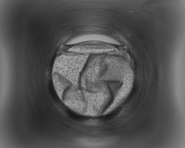 X0000084570119200703231830