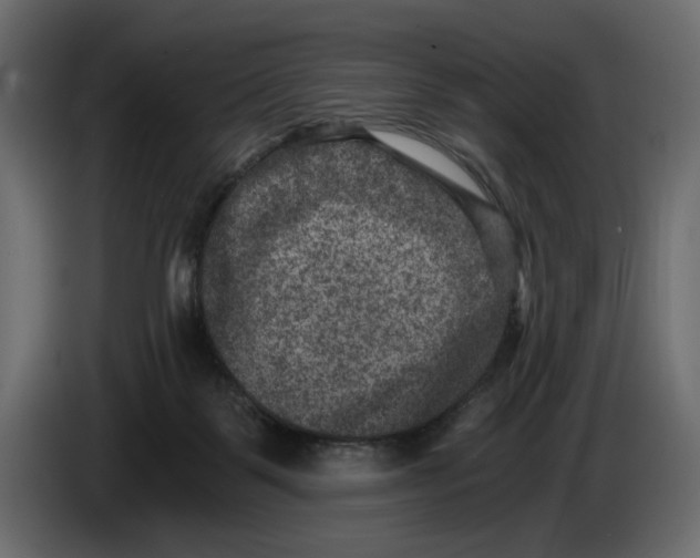 X0000084570123200703231830