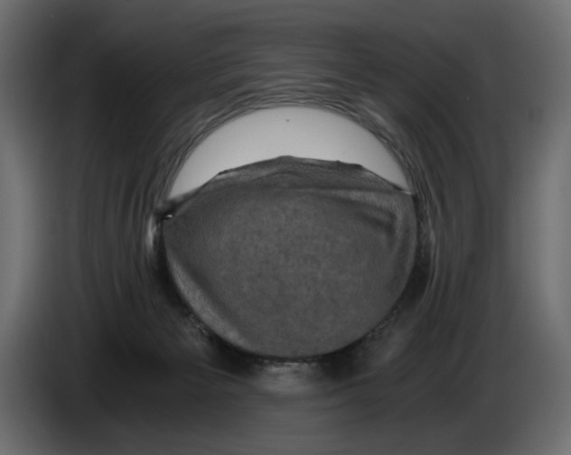 X0000084570125200703231830