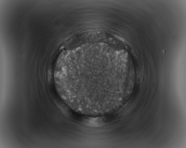 X0000084570130200703231830