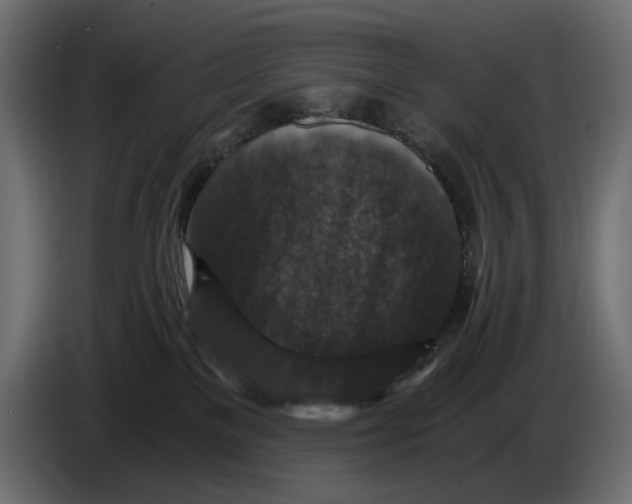 X0000084570137200703231830