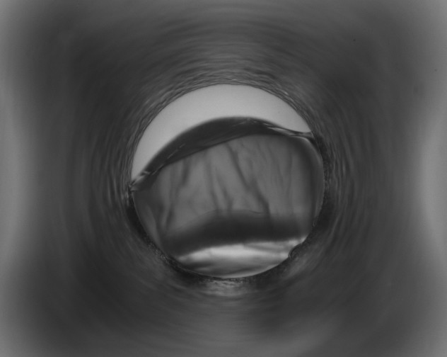 X0000084570139200703231829