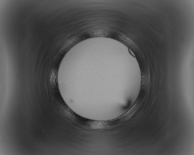 X0000084570142200703231829