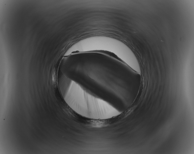 X0000084570143200703231829