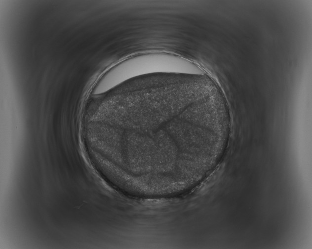 X0000084570145200703231829