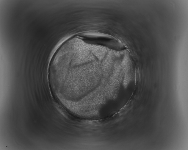 X0000084570147200703231829