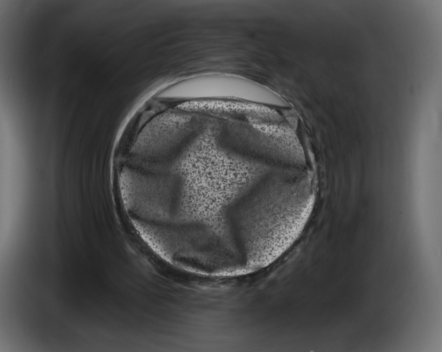 X0000084570148200703231829