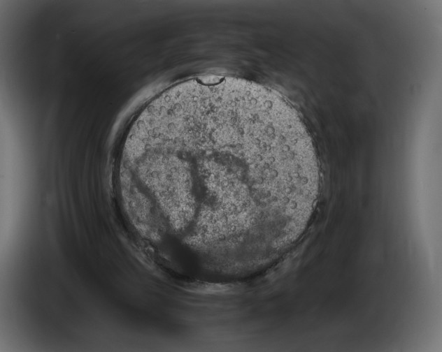 X0000084570149200703231829