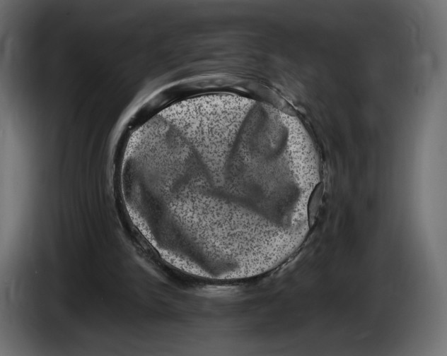 X0000084570150200703231829