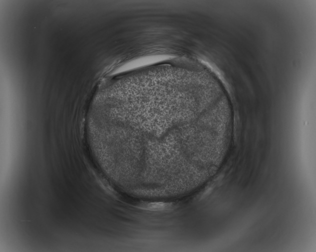 X0000084570153200703231829