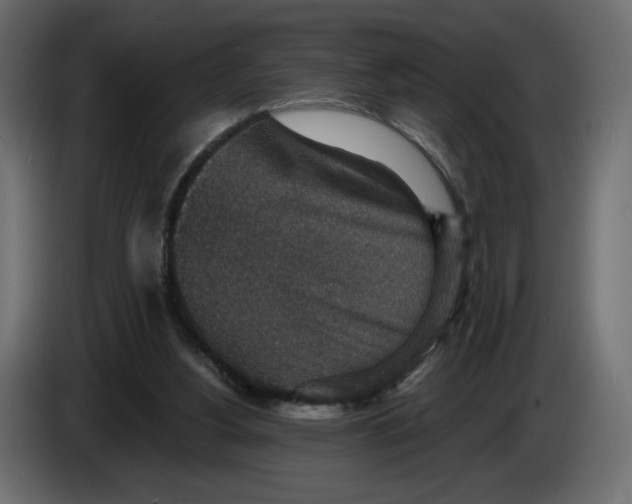 X0000084570156200703231829