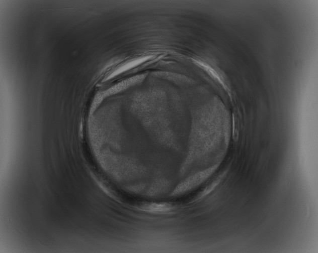 X0000084570157200703231829