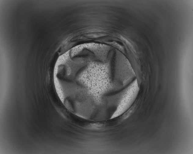 X0000084570158200703231829