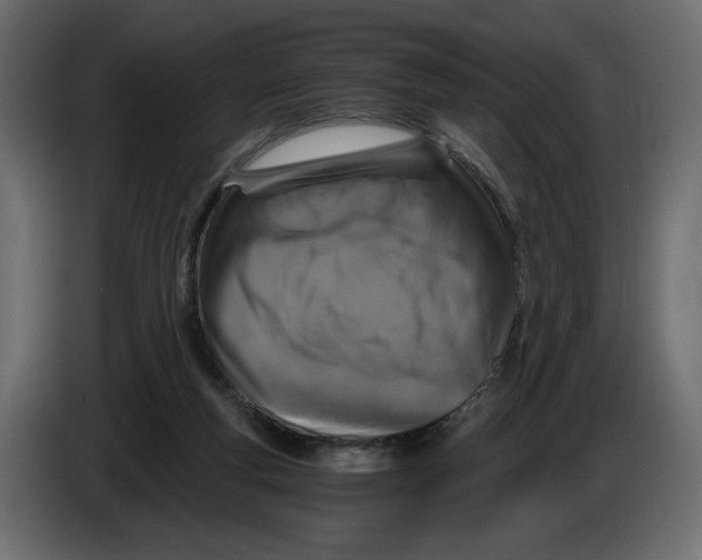 X0000084570163200703231829