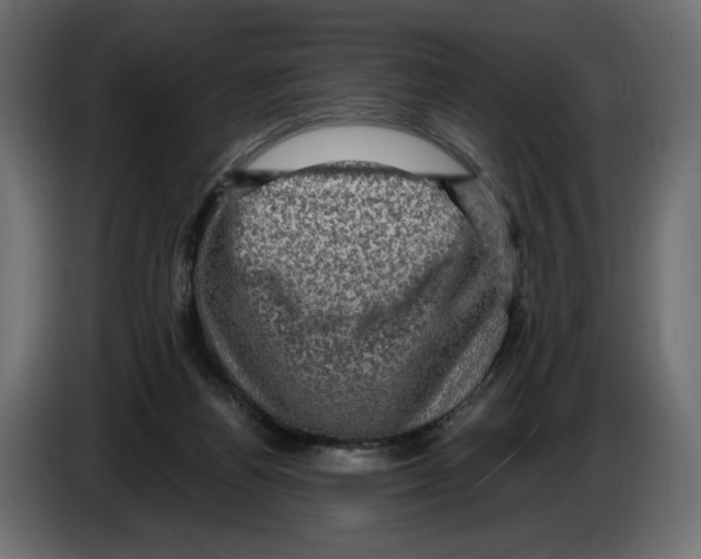 X0000084570164200703231829