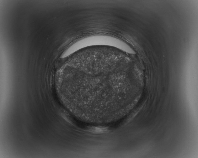 X0000084570165200703231829