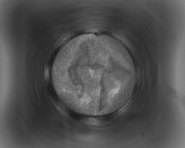 X0000084570166200703231829