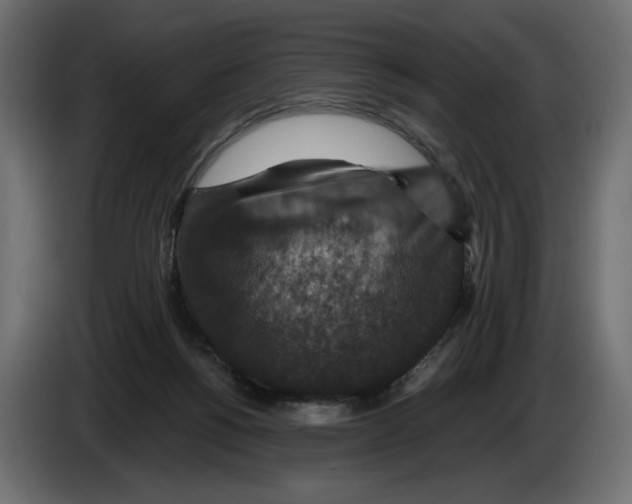 X0000084570168200703231829