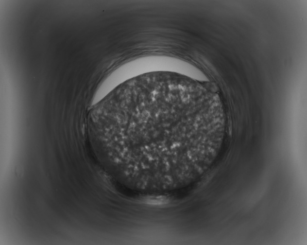 X0000084570169200703231829