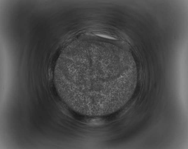 X0000084570173200703231829