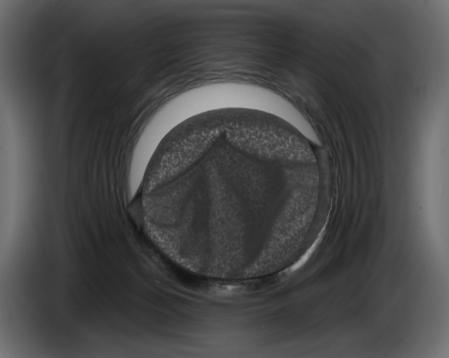 X0000084570174200703231829