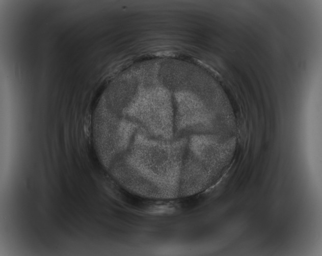 X0000084570175200703231829