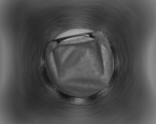 X0000084570176200703231829