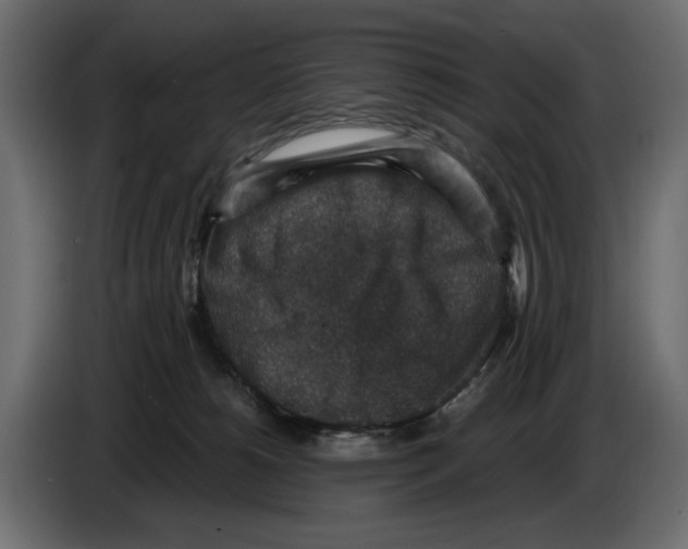 X0000084570180200703231829