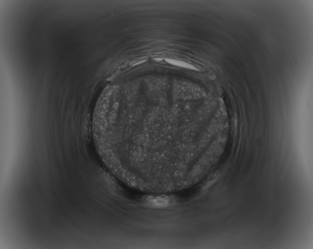 X0000084570181200703231829