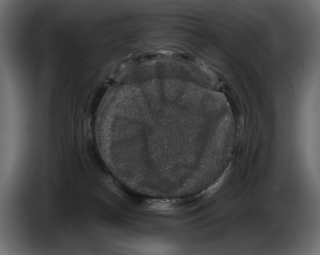 X0000084570182200703231829