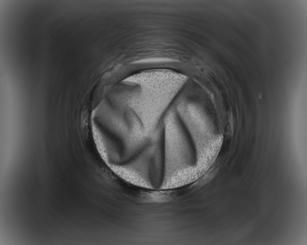 X0000084570184200703231829