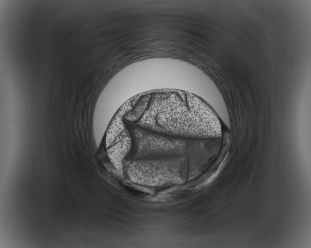 X0000084570186200703231829