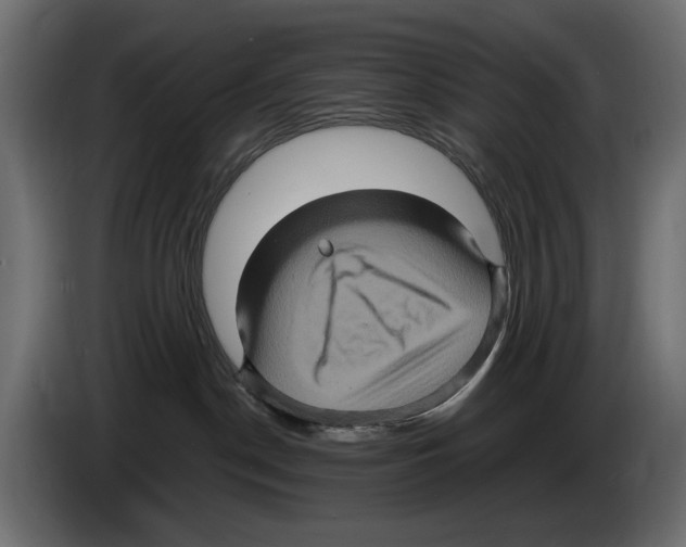 X0000084570190200703231829