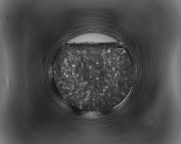 X0000084570191200703231829