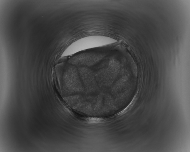 X0000084570192200703231829