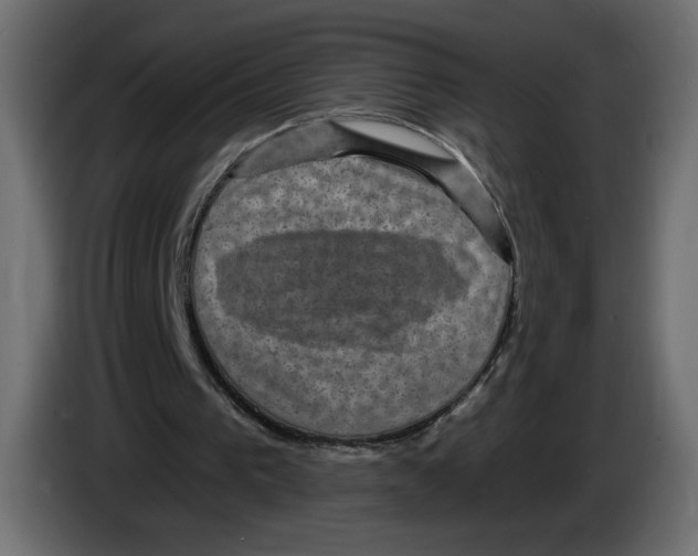 X0000084570193200703231829