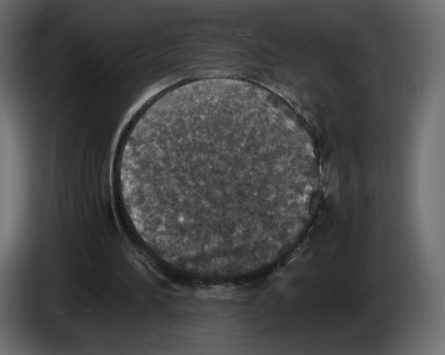 X0000084570196200703231829