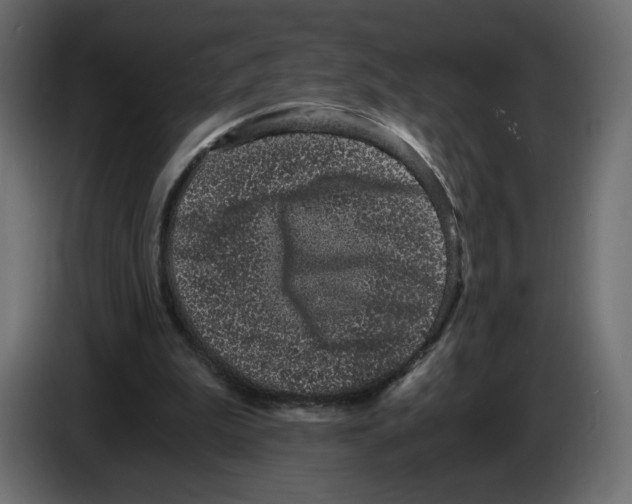 X0000084570199200703231829