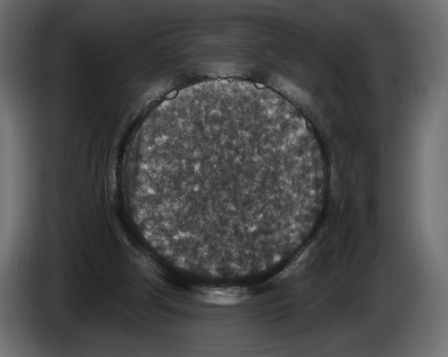 X0000084570202200703231829