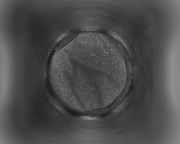 X0000084570203200703231829