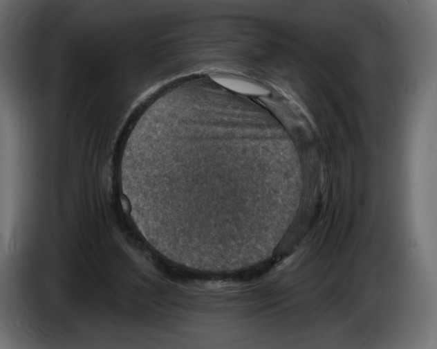 X0000084570204200703231829