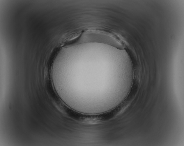 X0000084570213200703231828