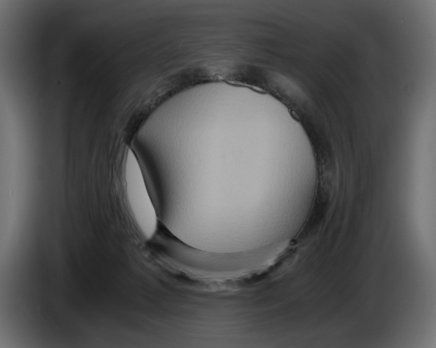 X0000084570221200703231828